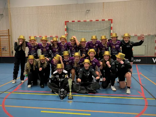 Härliga bilder från finalen (egna bilder samt bild från prisutdelningen från Hallands IBF)