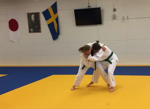 Skånerandori i Kristianstad