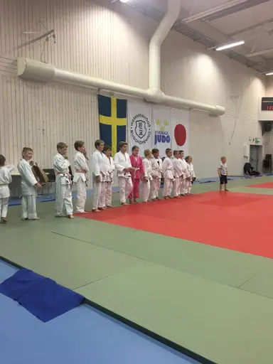 Veckans sommarläger