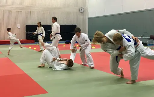Veckans sommarläger