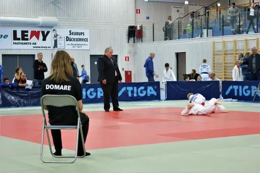 Bilder från sydcupen