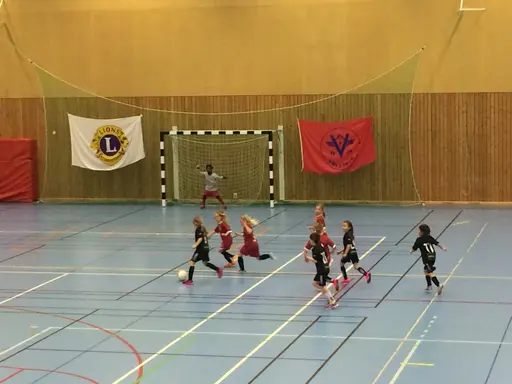 VellingeCupen Lions spelas under tre helger med totalt 274 lag både pojkar och flickor i åldersgrupper 8-13 år. Under cupen spelas totalt 636 matcher!!!