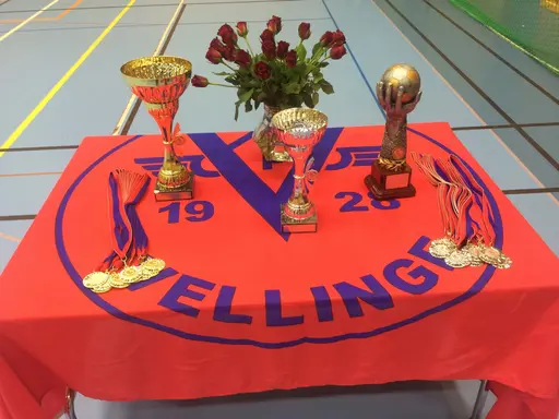 VellingeCupen Lions spelas under tre helger med totalt 274 lag både pojkar och flickor i åldersgrupper 8-13 år. Under cupen spelas totalt 636 matcher!!!