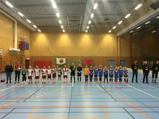 VellingeCupen Lions spelas under tre helger med totalt 274 lag både pojkar och flickor i åldersgrupper 8-13 år. Under cupen spelas totalt 636 matcher!!!