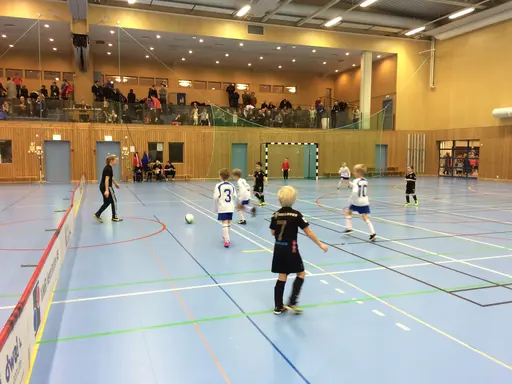 VellingeCupen Lions spelas under tre helger med totalt 274 lag både pojkar och flickor i åldersgrupper 8-13 år. Under cupen spelas totalt 636 matcher!!!