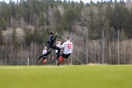 Foto: David Jansson