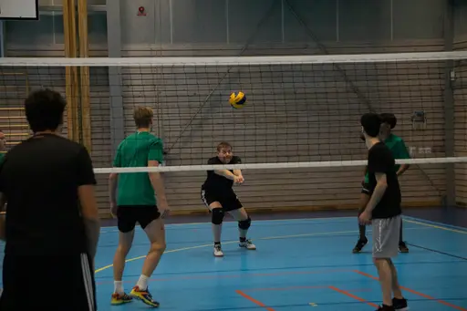 Massor av fina bilder tagna av Hasse M