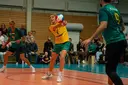 Valdemar Mjörnheim in Action