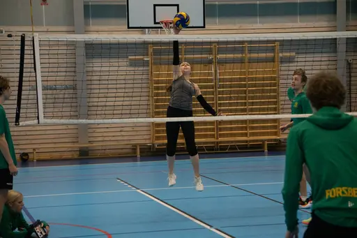 Massor av fina bilder tagna av Hasse M