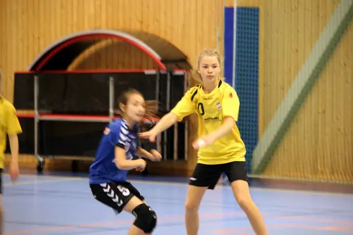 Söndagen den 28 april arrangerade IFK Malmö Handboll på initiativ från Ballerup HC en träningsturnering i Baltiska Träningshallen för F02.