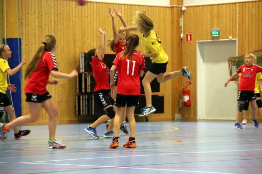 Söndagen den 28 april arrangerade IFK Malmö Handboll på initiativ från Ballerup HC en träningsturnering i Baltiska Träningshallen för F02.