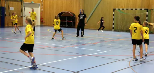 Söndagen den 28 april arrangerade IFK Malmö Handboll på initiativ från Ballerup HC en träningsturnering i Baltiska Träningshallen för F02.