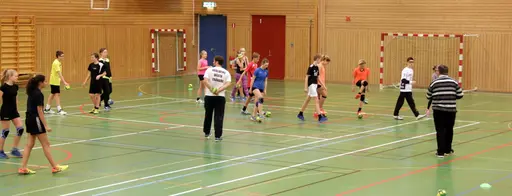 Några bilder från dagens provträning i Kulladals Sporthall.