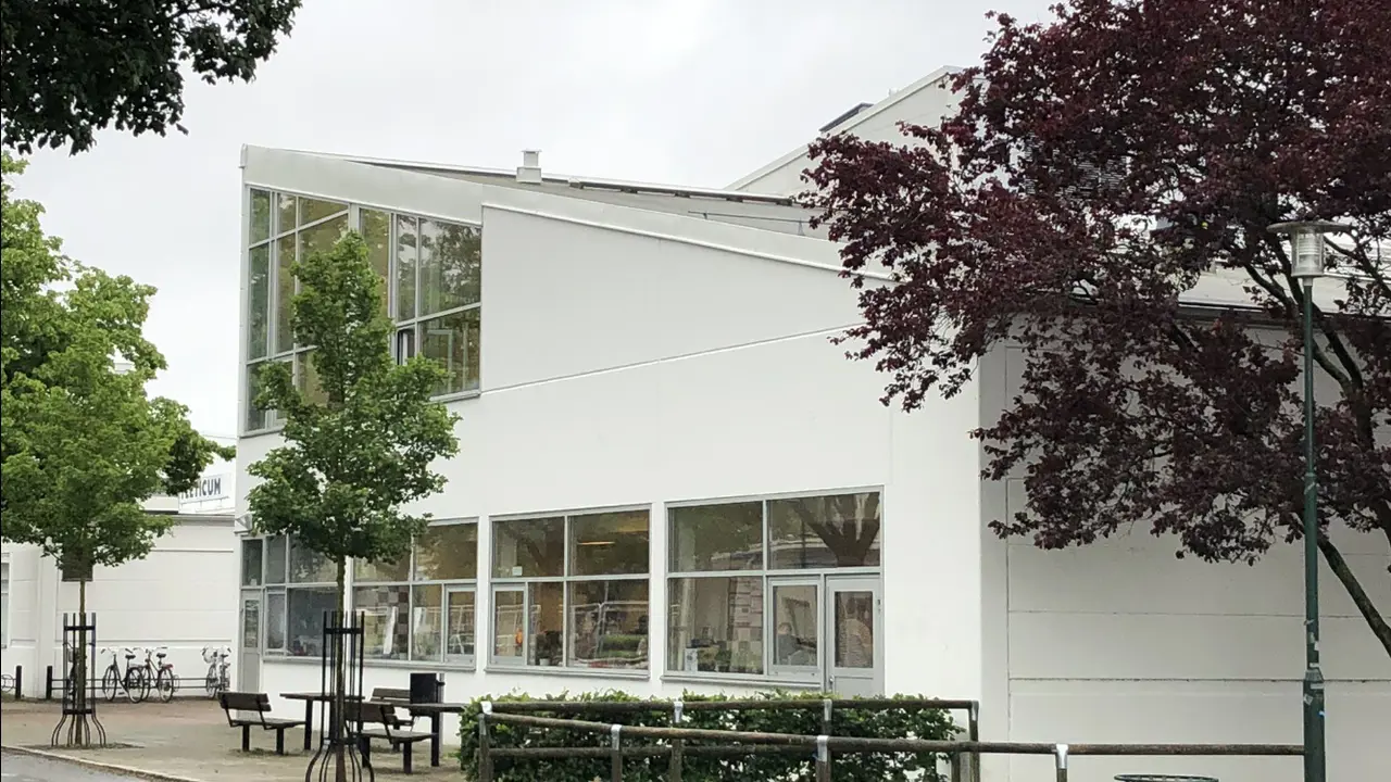 Bilden är lånad från Malmö Idrottsgrundskolan pedagogiska webbplats.