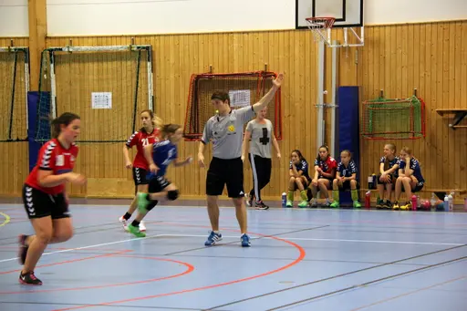 Söndagen den 28 april arrangerade IFK Malmö Handboll på initiativ från Ballerup HC en träningsturnering i Baltiska Träningshallen för F02.