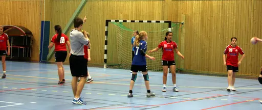 Söndagen den 28 april arrangerade IFK Malmö Handboll på initiativ från Ballerup HC en träningsturnering i Baltiska Träningshallen för F02.