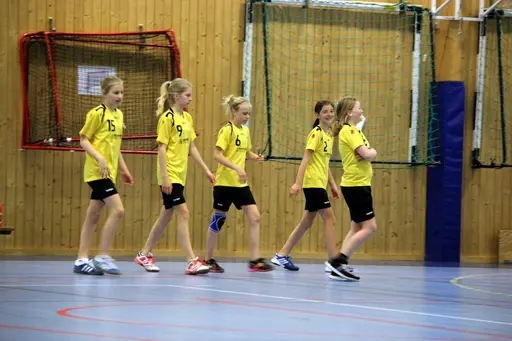 Söndagen den 28 april arrangerade IFK Malmö Handboll på initiativ från Ballerup HC en träningsturnering i Baltiska Träningshallen för F02.