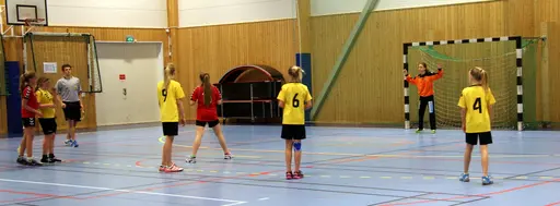 Söndagen den 28 april arrangerade IFK Malmö Handboll på initiativ från Ballerup HC en träningsturnering i Baltiska Träningshallen för F02.