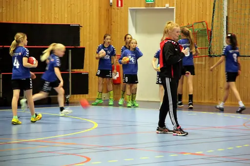 Söndagen den 28 april arrangerade IFK Malmö Handboll på initiativ från Ballerup HC en träningsturnering i Baltiska Träningshallen för F02.