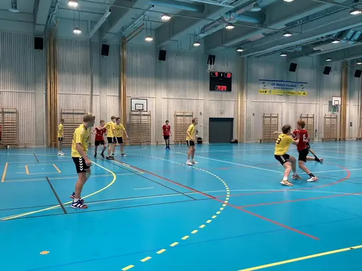 Översta bilderna från Stapelbädden (P16) och de nedre bilder från Mörrum (P15)