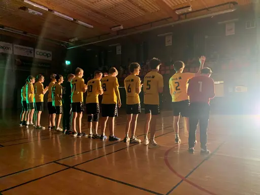 Översta bilderna från Stapelbädden (P16) och de nedre bilder från Mörrum (P15)