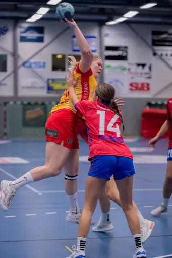 Foto: Peter Lindström