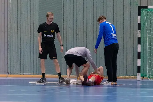 Foto: Peter Lindström