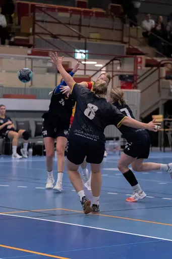 Foto: Peter Lindström