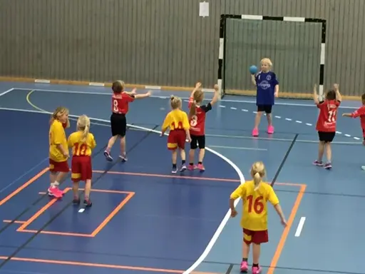 Handbollsskolan 09 genomförde Handbollskarneval i lördags.