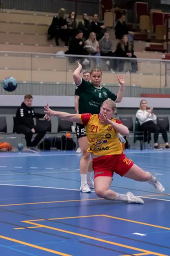Foto: Peter Lindström