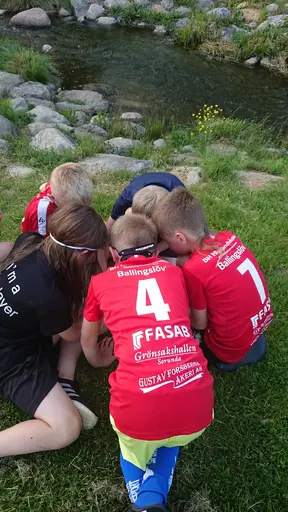 1:a beachhandbollsträningen avslutades med grillning vid sjön. En härlig kväll 6/6.
