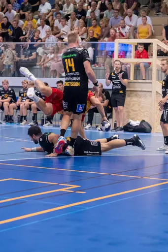 Foto: Peter Lindström