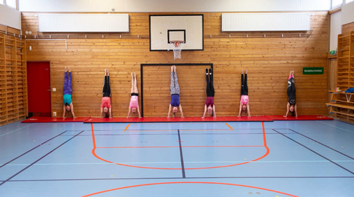 Bild: Svenska Gymnastikförbundet