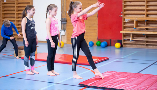 Bild: Svenska Gymnastikförbundet