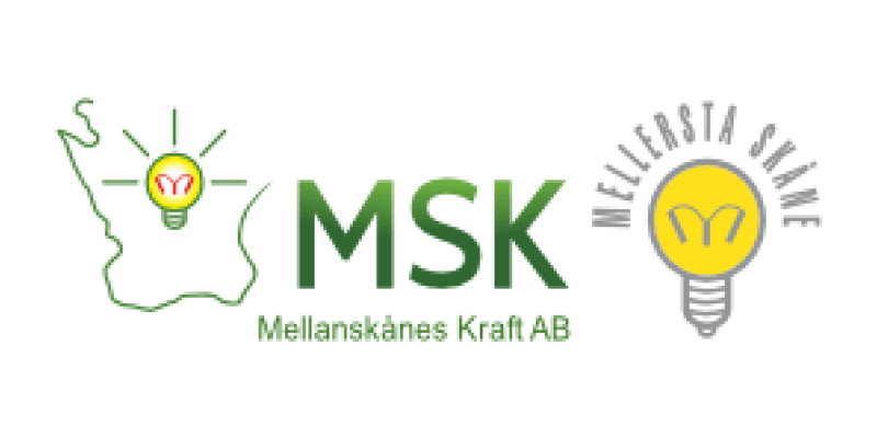 MSKraft