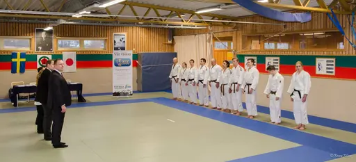 Bilder från Svenska Judoförbundet