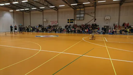 Handbollsavslutning 2018-2019