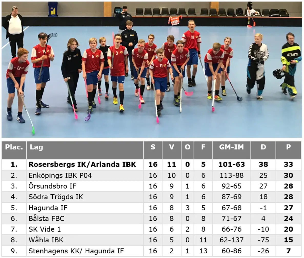 Serieseger för våra 04:or!