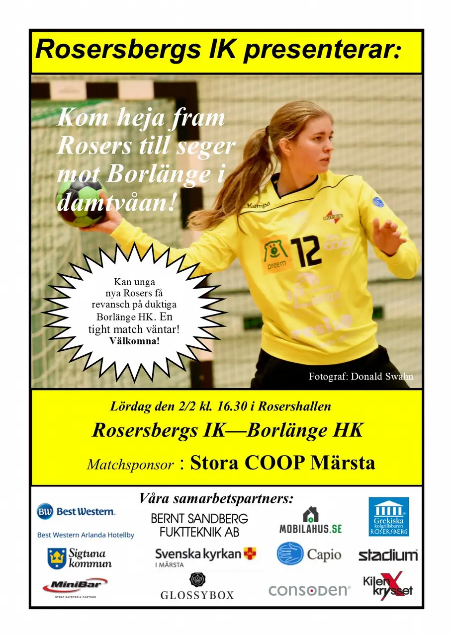 Match i damtvåan på lördag kl 16.30 RIK - Borlänge HK