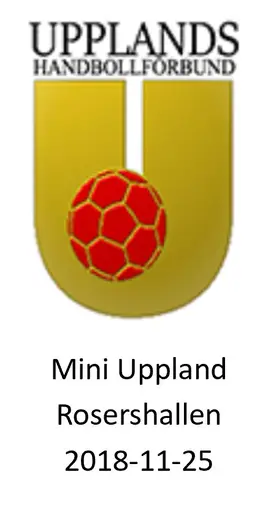 Full fart i Rosershallen på söndag! Mini-Handboll, försäljning av supportertröjor och seniormatcher!