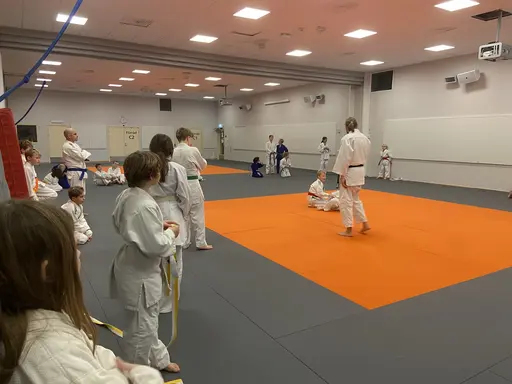 Träning med liten lagtävling, lilla Halland cup. Träningen avslutades med julfika. 