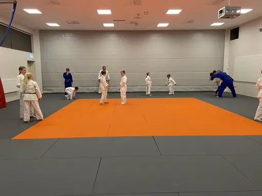 Judogrund med hösten nybörjare