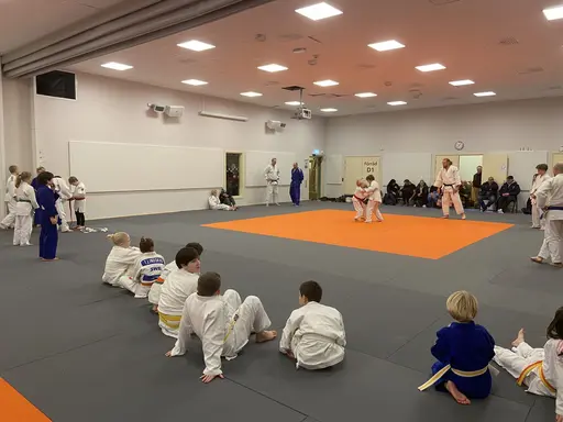 Träning med liten lagtävling, lilla Halland cup. Träningen avslutades med julfika. 