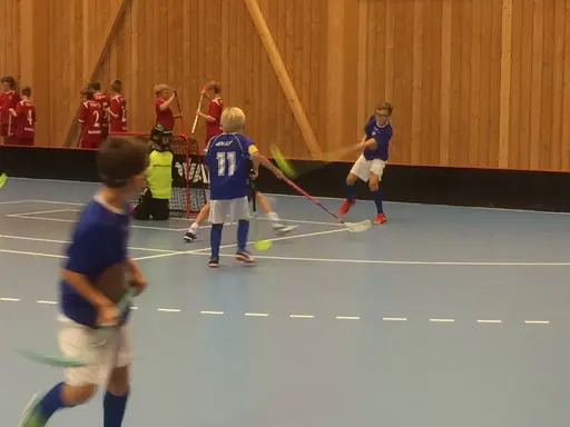 Vänerns Pärla 2016. En hellyckad dag i Mariestad!
