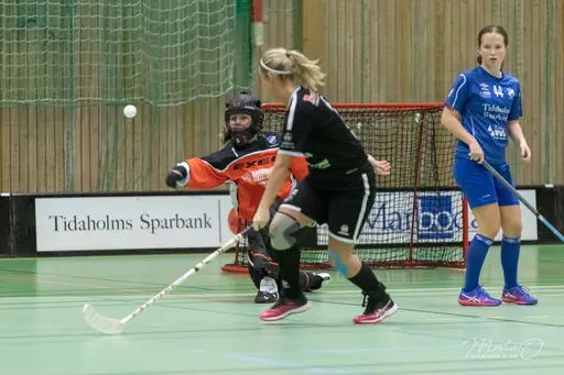 Foto: Mats Olofsson (habobild.se)