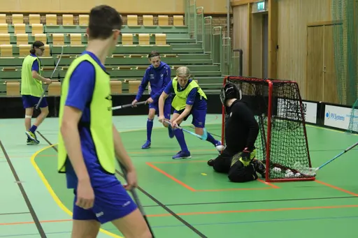 Bra uppladdning bra resultat, vinst 11-2.