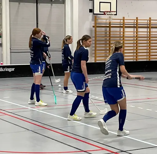 Ytterligare tre poäng även om det satt hårt åt mot ett intensivt Linköping IBK