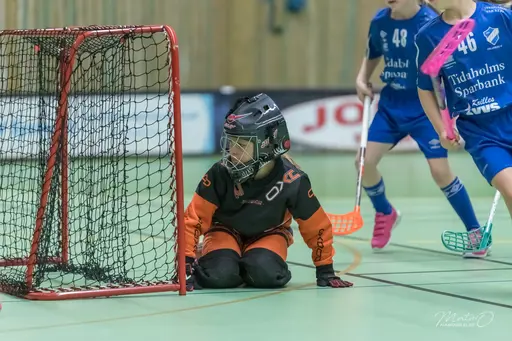 Foto: Mats Olofsson (habobild.se)