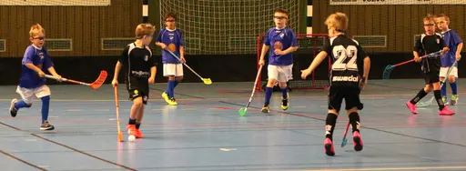 Full fart i Tibro! Här match mot Falköping.