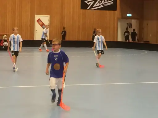 Vänerns Pärla 2016. En hellyckad dag i Mariestad!